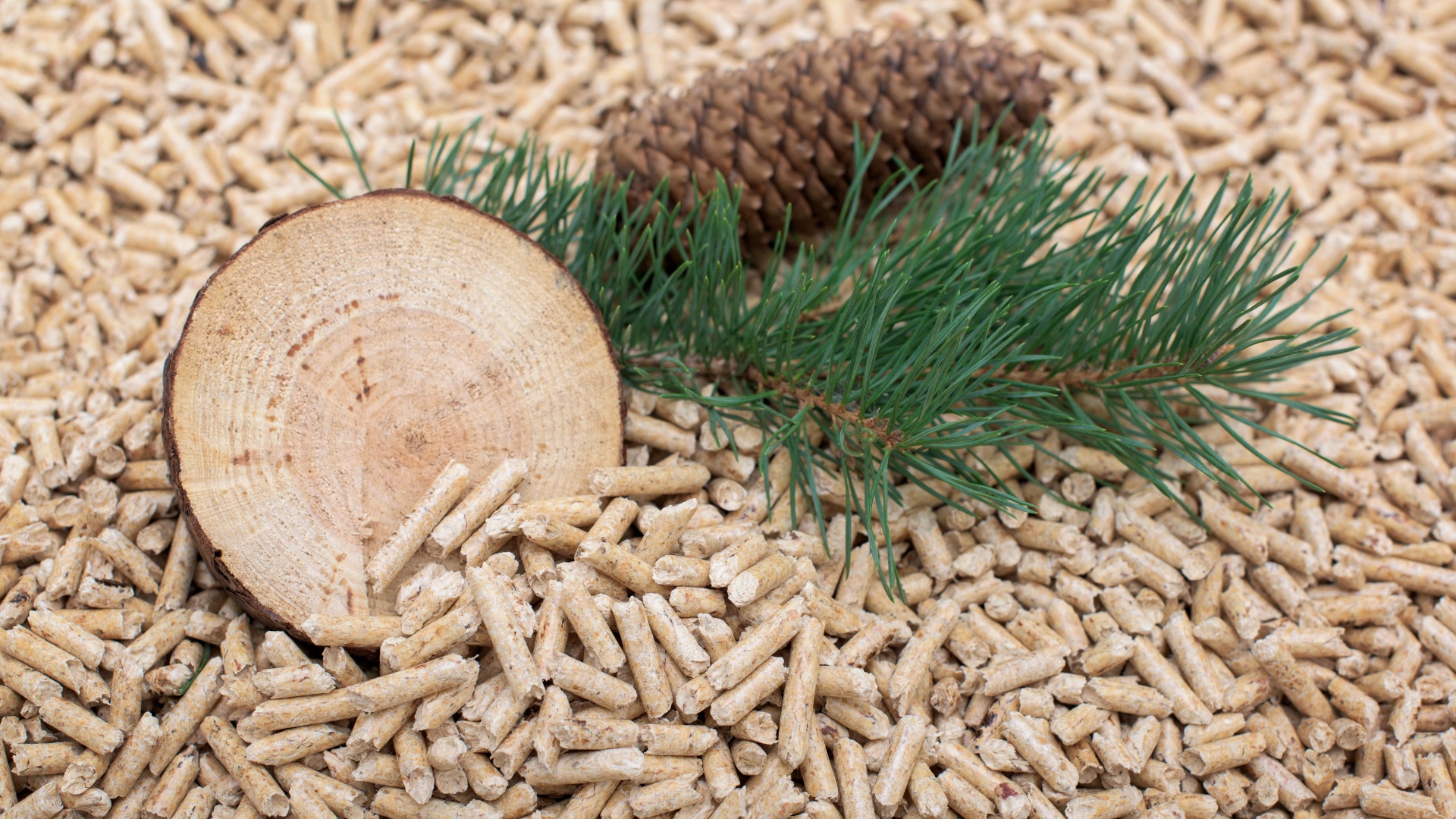 Pellet Glacjo